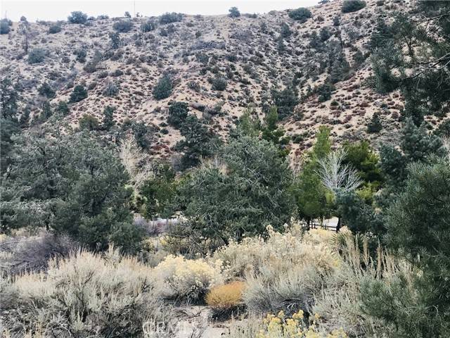 Pinon Hills, CA 92372,0 Sand Canyon