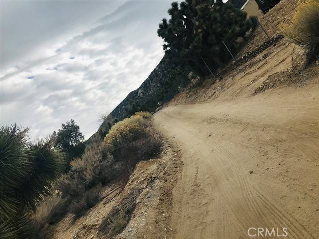 Pinon Hills, CA 92372,0 Sand Canyon