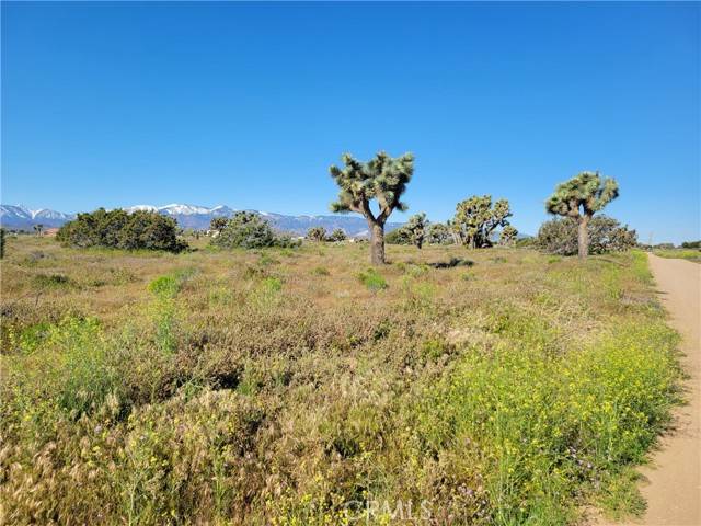 Phelan, CA 92371,0 Vinton Road