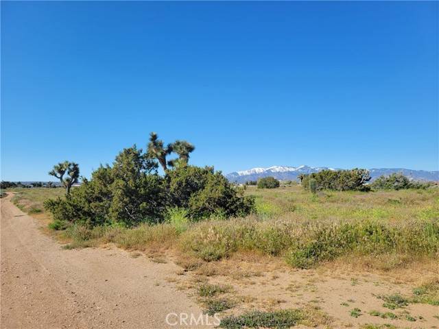 Phelan, CA 92371,0 Vinton Road