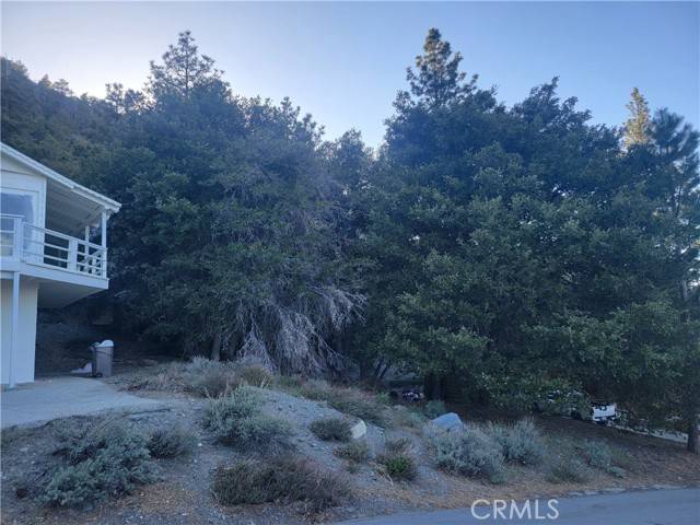 Wrightwood, CA 92397,0 Desert View Lane