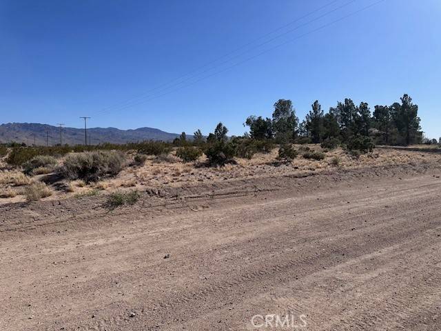 Newberry Springs, CA 92365,0 Manatee