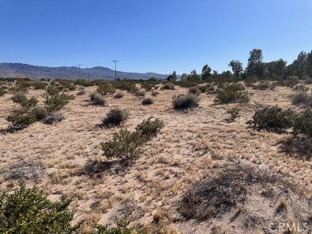 Newberry Springs, CA 92365,0 Manatee