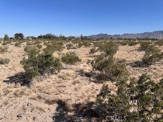 Newberry Springs, CA 92365,0 Manatee