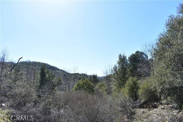 Julian, CA 92036,0 Oak Lane