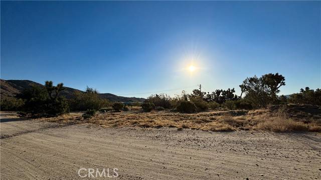 Yucca Valley, CA 92284,703 Scarvan Road