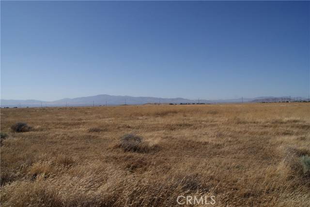 Antelope Acres, CA 93536,90 Stw