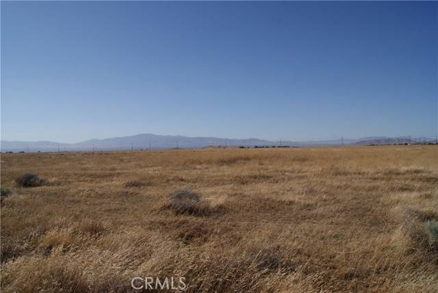 Antelope Acres, CA 93536,90 Stw