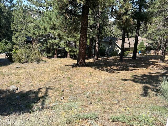 Wrightwood, CA 92397,0 Timberline Drive