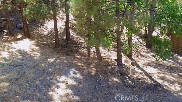 Wrightwood, CA 92397,5462 Heath Creek Dr