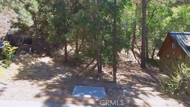 Wrightwood, CA 92397,5462 Heath Creek Dr