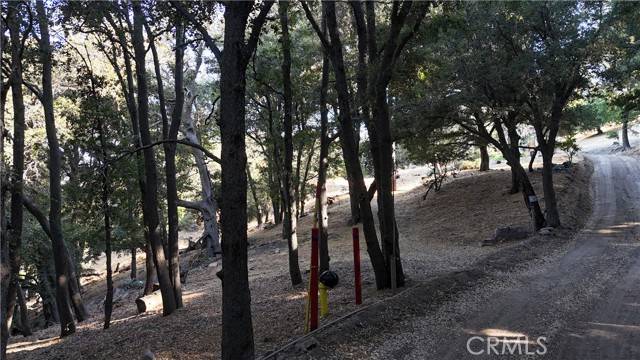 Cedarpines Park, CA 92322,722 Mojave River Road