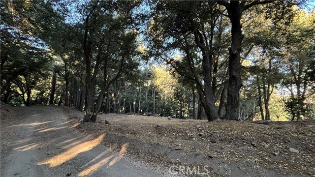 Cedarpines Park, CA 92322,722 Mojave River Road