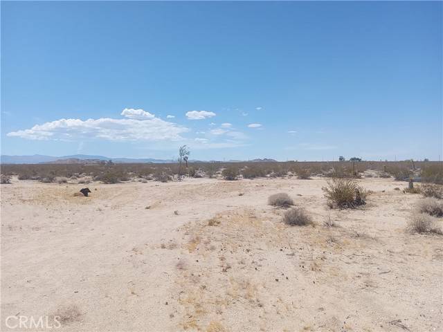 Joshua Tree, CA 92252,1976 Border Avenue