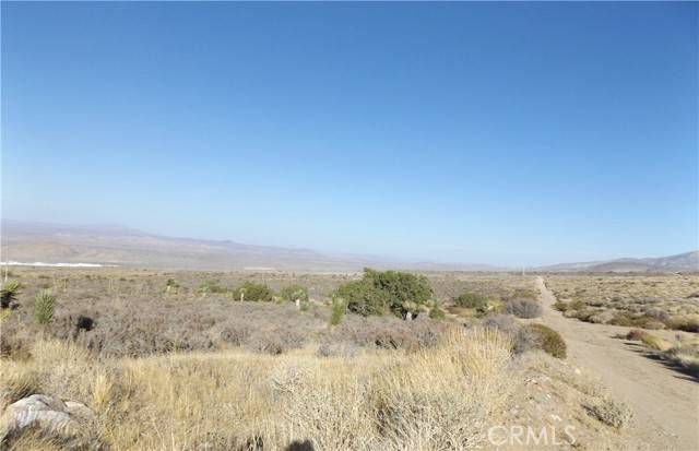 Lucerne Valley, CA 92356,10 Mesa