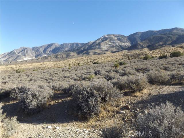 Lucerne Valley, CA 92356,10 Mesa