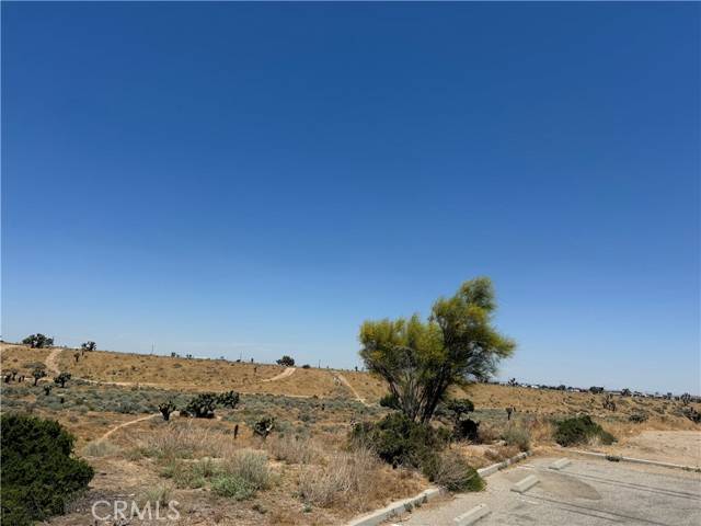 Hesperia, CA 92344,0 VL Muscatel