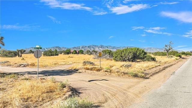 Hesperia, CA 92344,0 White Fox Trail