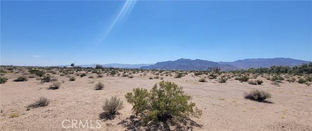 Newberry Springs, CA 92365,0 Black Butte Rd