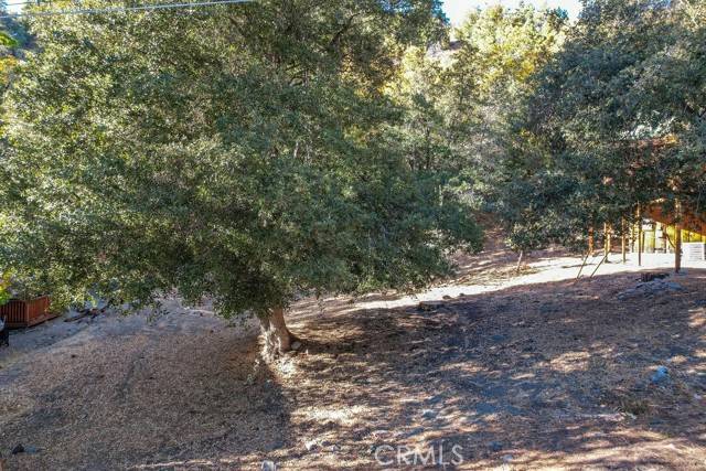 Wrightwood, CA 92397,1127 Twin Lakes Drive