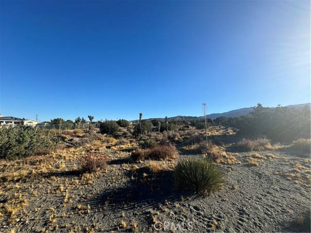 Pinon Hills, CA 92372,0 Phelan Road