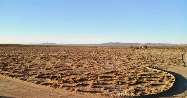 Hinkley, CA 92347,0 Burnt Tree