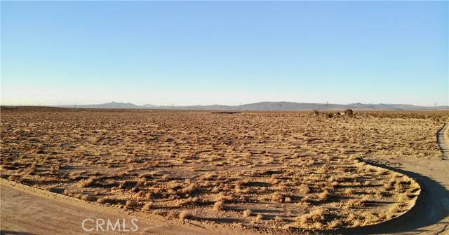 Hinkley, CA 92347,0 Burnt Tree