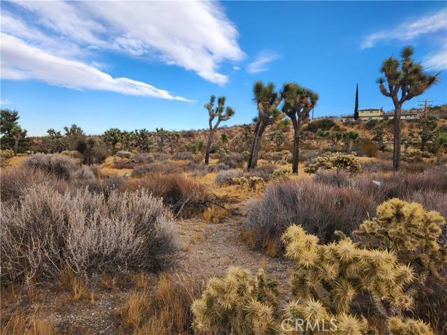 Yucca Valley, CA 92284,164 Joshua Lane