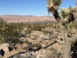 Lucerne Valley, CA 92356,40 Powerline Road