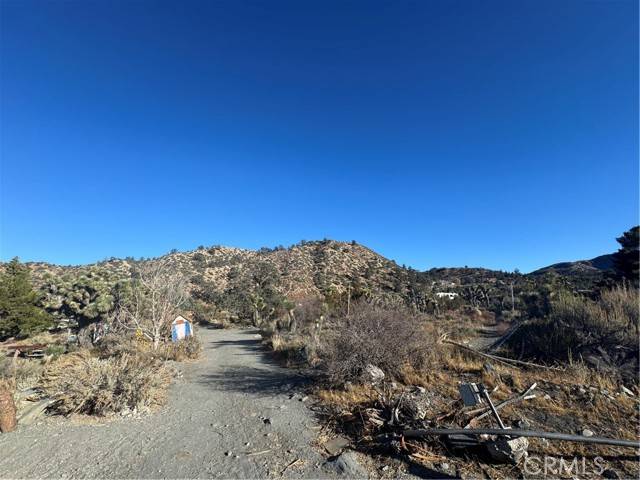 Wrightwood, CA 92397,0 Buckwheat