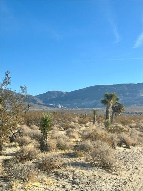 Lucerne Valley, CA 92356,0 Visalia Avenue