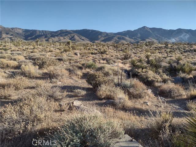 Lucerne Valley, CA 92356,5 Tate Lane