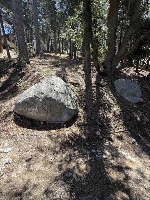 Twin Peaks, CA 92391,0 Highland Avenue