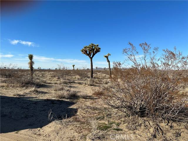 Victorville, CA 92394,8 Desert Flower Road