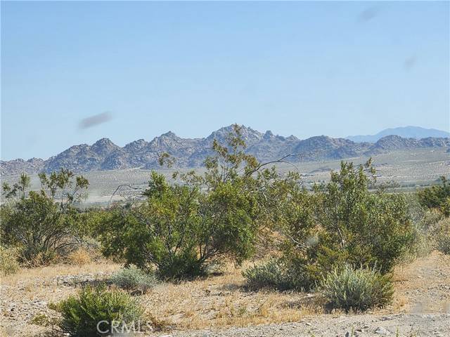 Lucerne Valley, CA 92356,500 Dallas