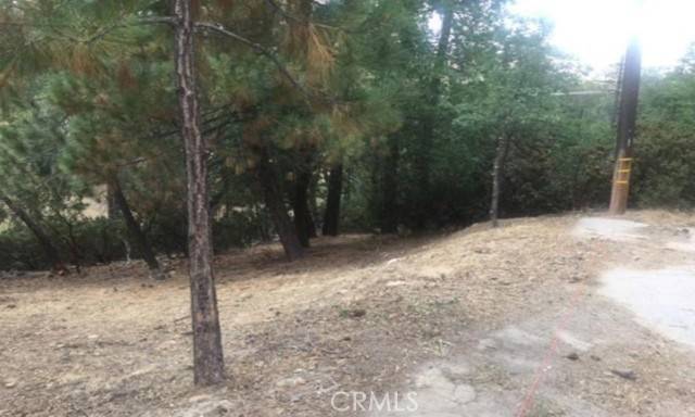 Lake Arrowhead, CA 92352,0 Krause Lane