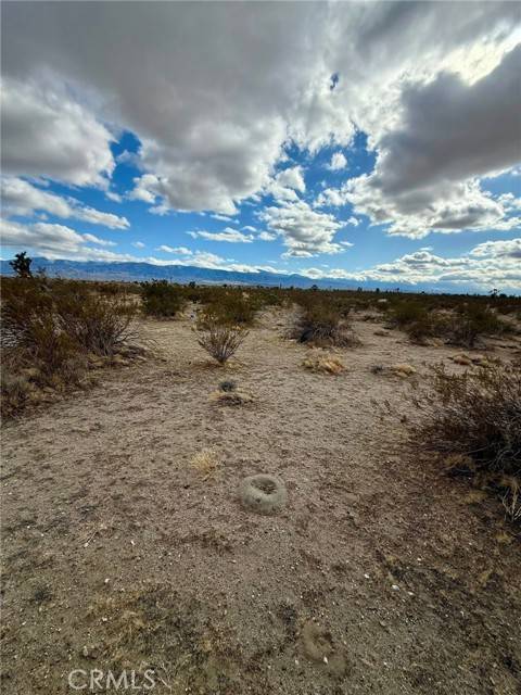 Pinon Hills, CA 92372,31005410 4 Dos Palmas Avenue