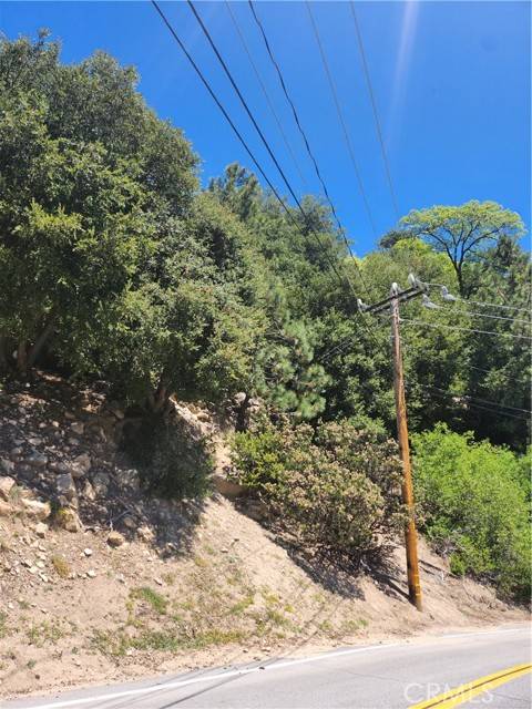 Lake Arrowhead, CA 92352,1187 Brentwood Drive