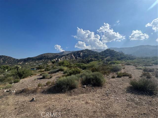 Phelan, CA 92371,0 Stuveling Street