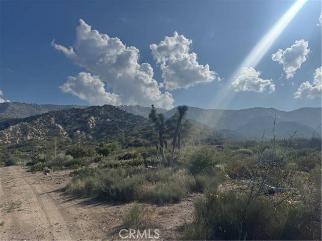 Phelan, CA 92371,0 Stuveling Street