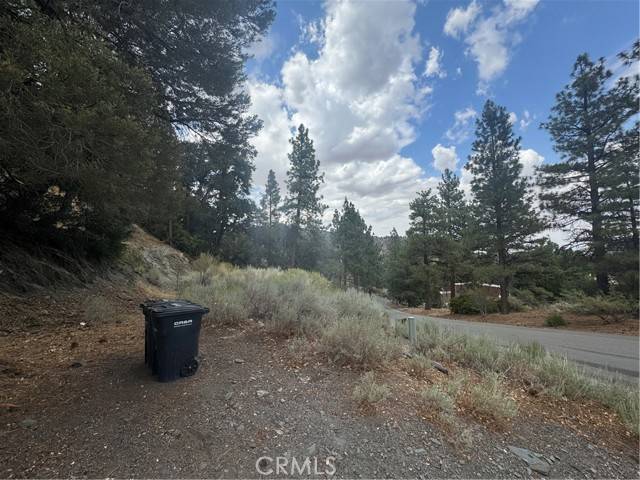 Wrightwood, CA 92397,1772 Ash Road