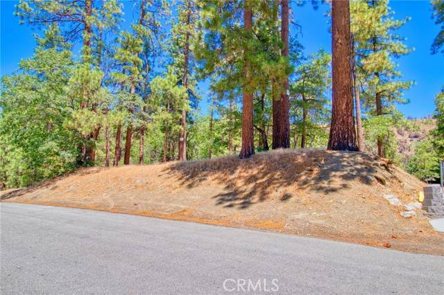 Wrightwood, CA 92397,0 Oriole Road