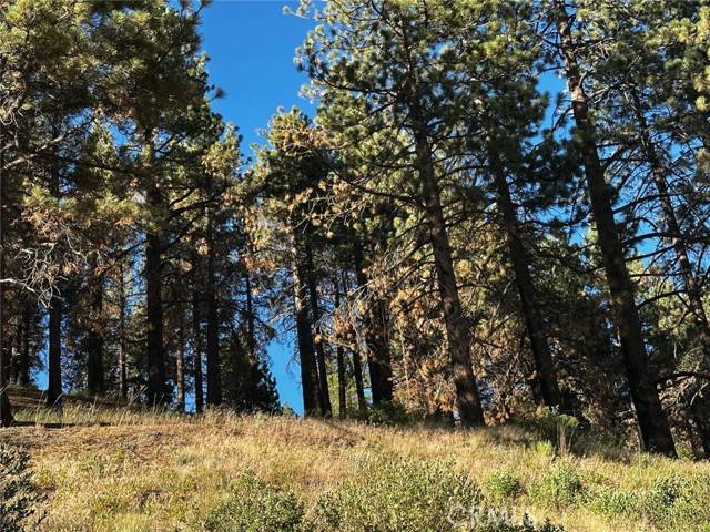 Running Springs, CA 92382,1 Conway Dr Drive