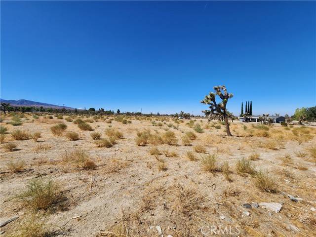 Pinon Hills, CA 92372,11226 Primavera Road