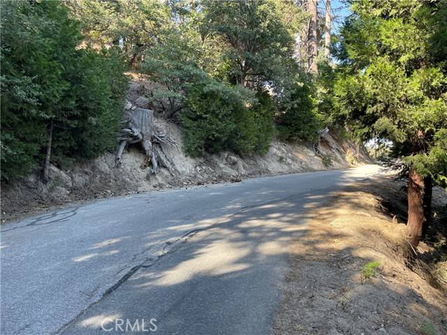 Lake Arrowhead, CA 92352,1098 Lot 1098 Victoria Court