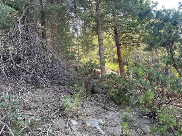 Twin Peaks, CA 92391,28 Lot 28 Forest Lane