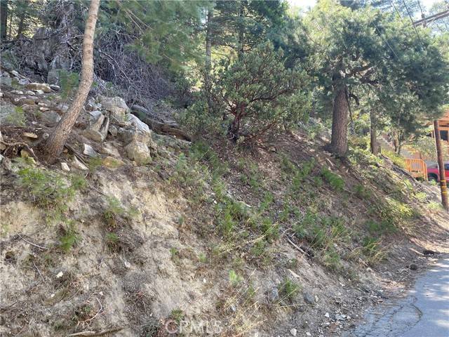 Twin Peaks, CA 92391,28 Lot 28 Forest Lane