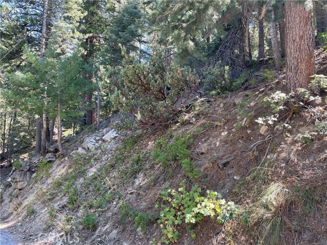 Twin Peaks, CA 92391,28 Lot 28 Forest Lane