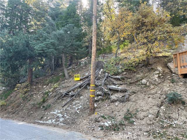 Twin Peaks, CA 92391,29 Lot 29 Forest Lane