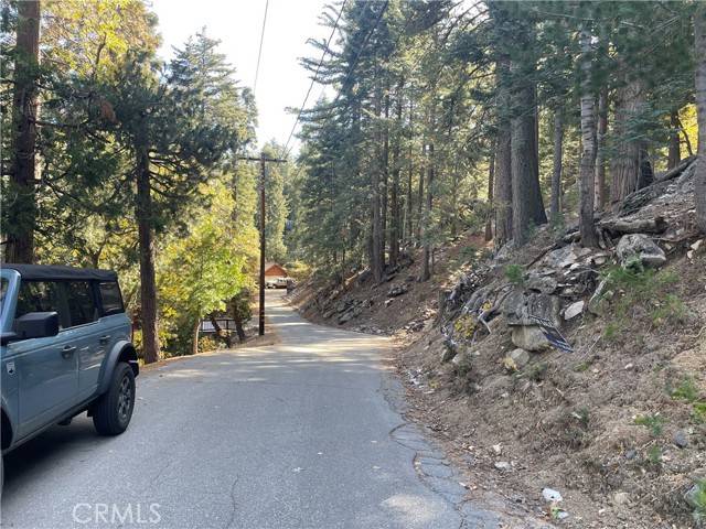 Twin Peaks, CA 92391,29 Lot 29 Forest Lane